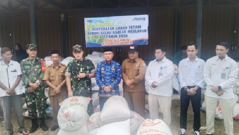 Dukung Ketahanan Pangan, Pemkab Simeulue Gandeng Bulog Meulaboh Serap Gabah Petani