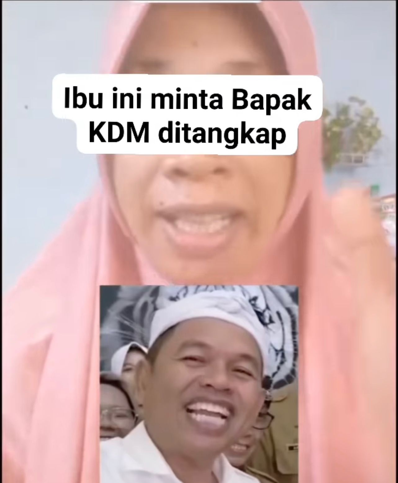 Viral! Seorang Emak-emak Minta Kapolri Tangkap dan Bawa Dedi Mulyadi ke Aceh