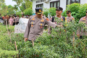 Kapolres Sabang Tinjau Pekarangan Pangan Bergizi di Kuta Barat