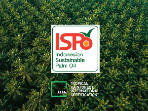 ISPO Diwajibkan untuk Industri Hilir dan Bioenergi, Petani Swadaya Dapat Insentif