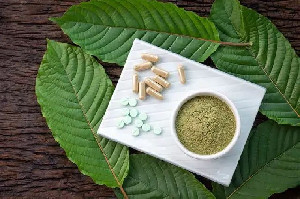 Kratom: Daun Surga Indonesia yang Menaklukkan Pasar Global Meski Penuh Kontroversi