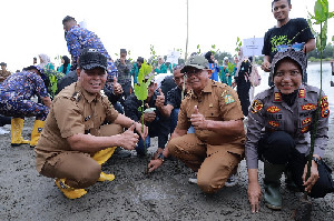 Peringati Hari Keanekaragaman Hayati Internasional, Bupati Aceh Besar Ikut Tanam Manggrove