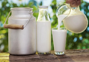 Jelang Hari Susu Nusantara 2025, Kementan dan Industri Susu Gencarkan Edukasi Gizi Anak
