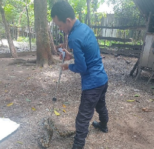 Respons Cepat BPBD Aceh Besar Evakuasi Ular Piton di Lhoong