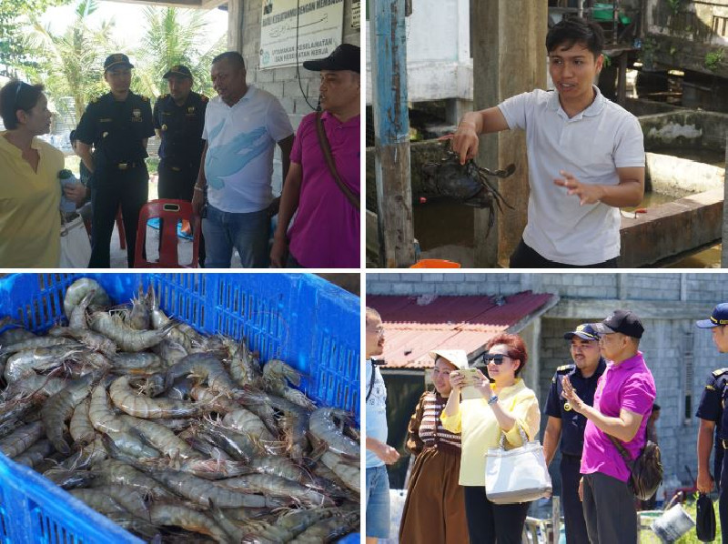 Investor Malaysia dan Vietnam Tinjau Langsung UMKM Perikanan di Aceh Barat