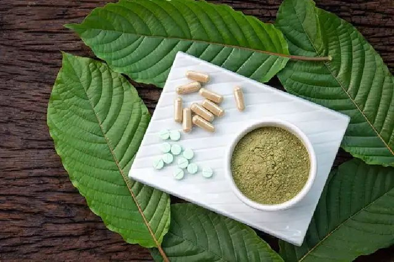 Kratom: Daun Surga Indonesia yang Menaklukkan Pasar Global Meski Penuh Kontroversi