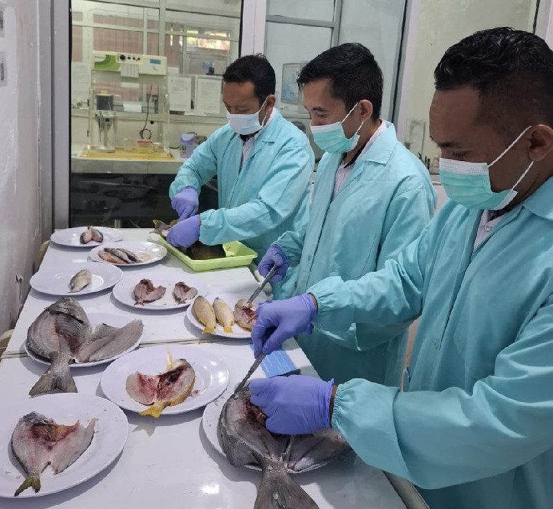 Ikan Hasil Bom Tidak Layak Konsumsi, Organ Dalam Hancur dan Daging Lunak