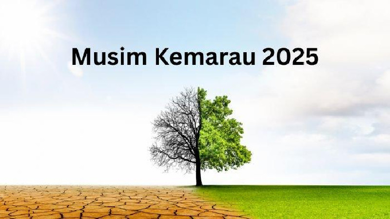 BMKG: Puncak Kemarau 2025 Terjadi Agustus, Durasi Lebih Pendek