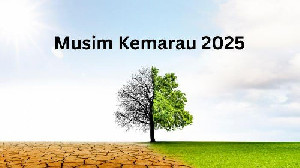 BMKG: Puncak Kemarau 2025 Terjadi Agustus, Durasi Lebih Pendek