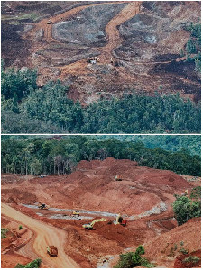 Benturan Ekonomi dan Lingkungan: Polemik Tambang Nikel di Surga Raja Ampat