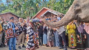 Menhut Sambangi Masyarakat Aceh Tengah, Dengarkan Langsung soal Konflik Gajah
