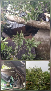 Angin Kencang Rusak Puluhan Rumah di Aceh Barat Daya