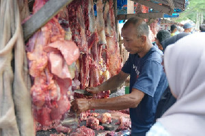 Kota Sabang Sembelih 46 Ekor Ternak saat Meugang Idul Adha 2025