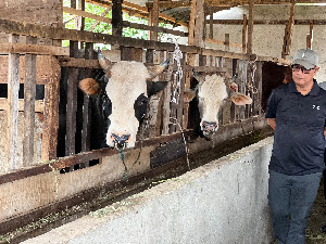 Jelang Idul Adha 1446 H: Kadisnak Aceh Berikan Himbauan kepada Panitia Kurban, Simak!