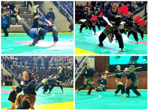 PB IPSI Gelar Apel Nasional: Pencak Silat Siap Menuju Olimpiade 2028