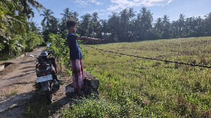 Kabel Listrik PLN Kendur Bahayakan Warga Gampong Teungoh Nisam