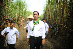 Enam Strategi Wujudkan Swasembada Gula Nasional, Mentan Amran: Target 2-5 Tahun