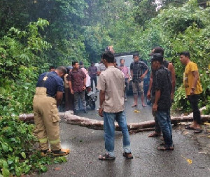 Hujan Deras disertai Angin Kencang Landa Aceh Besar, BPBD Imbau Masyarakat Waspada