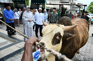 Sapi Kurban Bantuan Presiden Prabowo Diserahkan pada BKM Iskandar Muda Peuniti