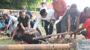 Momen Idul Adha 2025, Polresta Banda Aceh Sembelih 8 Hewan Kurban