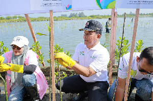 Pemkab Aceh Besar Dukung Penanaman 10 Ribu Mangrove oleh PLN di Baitussalam