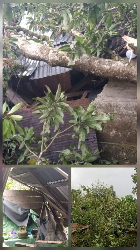 Angin Kencang Rusak Puluhan Rumah di Aceh Barat Daya