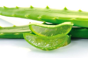 Tak Hanya untuk Kulit, Ini 4 Manfaat Lain Aloe Vera bagi Kesehatan