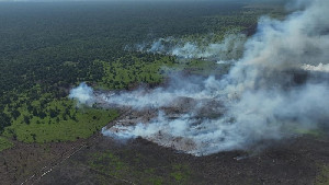 Suaka Margasatwa Rawa Singkil Terancam Akibat 72 Hektar Lahan PT ALIS Terbakar