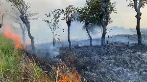 Kebakaran Lahan di Lhokseumawe Melonjak, 22 Kasus Terjadi dalam Sebulan