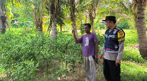 Cuaca di Banda Aceh Panas, Polisi Imbau Warga Tak Bakar Lahan Sembarangan