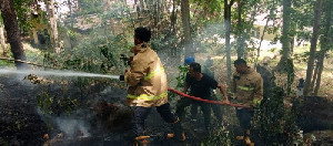 Hutan Pinus Terbakar di Lembah Seulawah, BPBD Aceh Besar: Dugaan Pembukaan Lahan Ilegal