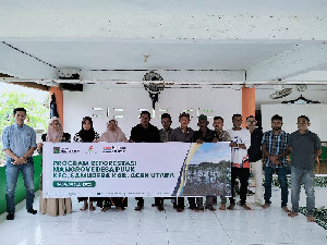 Pesisir Aceh Utara Diambang Bencana Ekologis Akibat Berkurangnya Hutan Manggrove