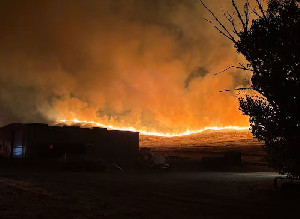 Kebakaran Madre di California Meluas hingga 79.000 Hektar