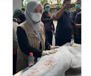 Perkuat Konservasi Laut, KKP Ajari Cara Kenali Hiu dan Pari Dilindungi