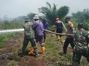 Diguyur Hujan Deras, Seluruh Titik Karhutla di Aceh Barat Padam