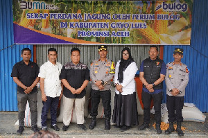 Dukung Ketahanan Pangan, Perum Bulog Mulai Serap Jagung dari Petani Gayo Lues