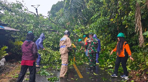 Cuaca Ekstrem Hantam Banda Aceh, Kolaborasi TNI–Polri dan Warga Bersihkan Pohon Tumbang