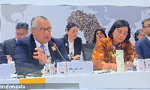 Bank Indonesia Tekankan Kolaborasi Kebijakan di Forum G20 Durban