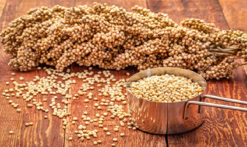 Tak Hanya Beras, Bapanas Genjot Diversifikasi dengan Sorgum dan Pangan Lokal