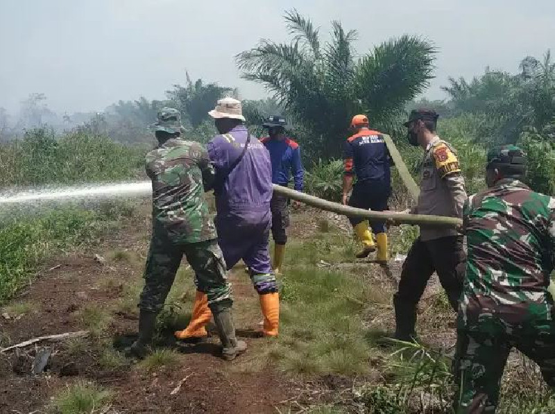 Diguyur Hujan Deras, Seluruh Titik Karhutla di Aceh Barat Padam