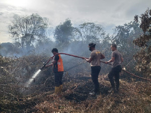 Api Karhutla di Aceh Selatan Berhasil Dipadamkan pada Hari ke-10