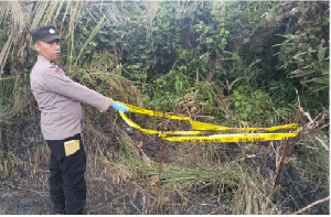 Petani di Aceh Utara Meninggal Dunia Saat Bekerja di Kebun