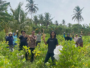 Panen Raya Perdana, Kacang Koro Pedang Disiapkan Jadi Bahan Pangan Lokal