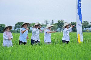 Wabup Syukri Apresiasi Quick Win Gubernur Aceh Untuk Petani