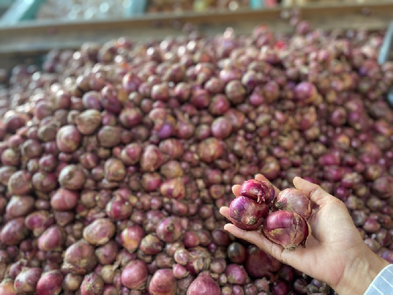 Bawang Merah di Aceh Tembus Rp60 Ribu per Kg, Disperindag Telusuri Penyebabnya