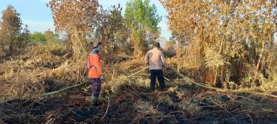 Lahan Gambut di Aceh Barat Terbakar