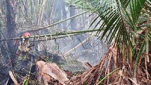 Dua Hektare Lahan Rumbia di Kuta Baro Terbakar Diduga Akibat Pembakaran Sampah