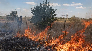 Namibia Kerahkan 500 Tentara Atasi Kebakaran Hebat di Taman Nasional Etosha