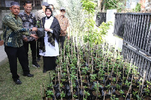 Kendalikan Inflasi dan Kemiskinan, Pemko Banda Aceh Galakkan Gerakan Menanam