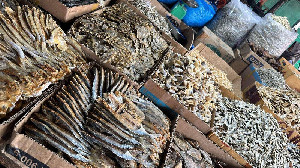 Pengawasan Diperketat, Bapanas Soroti Formalin di Ikan Asin Capai 17,7%
